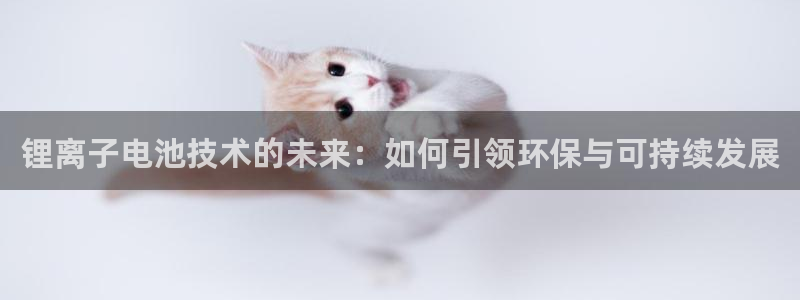 tp钱包下载地址：锂离子电池技术的未来：